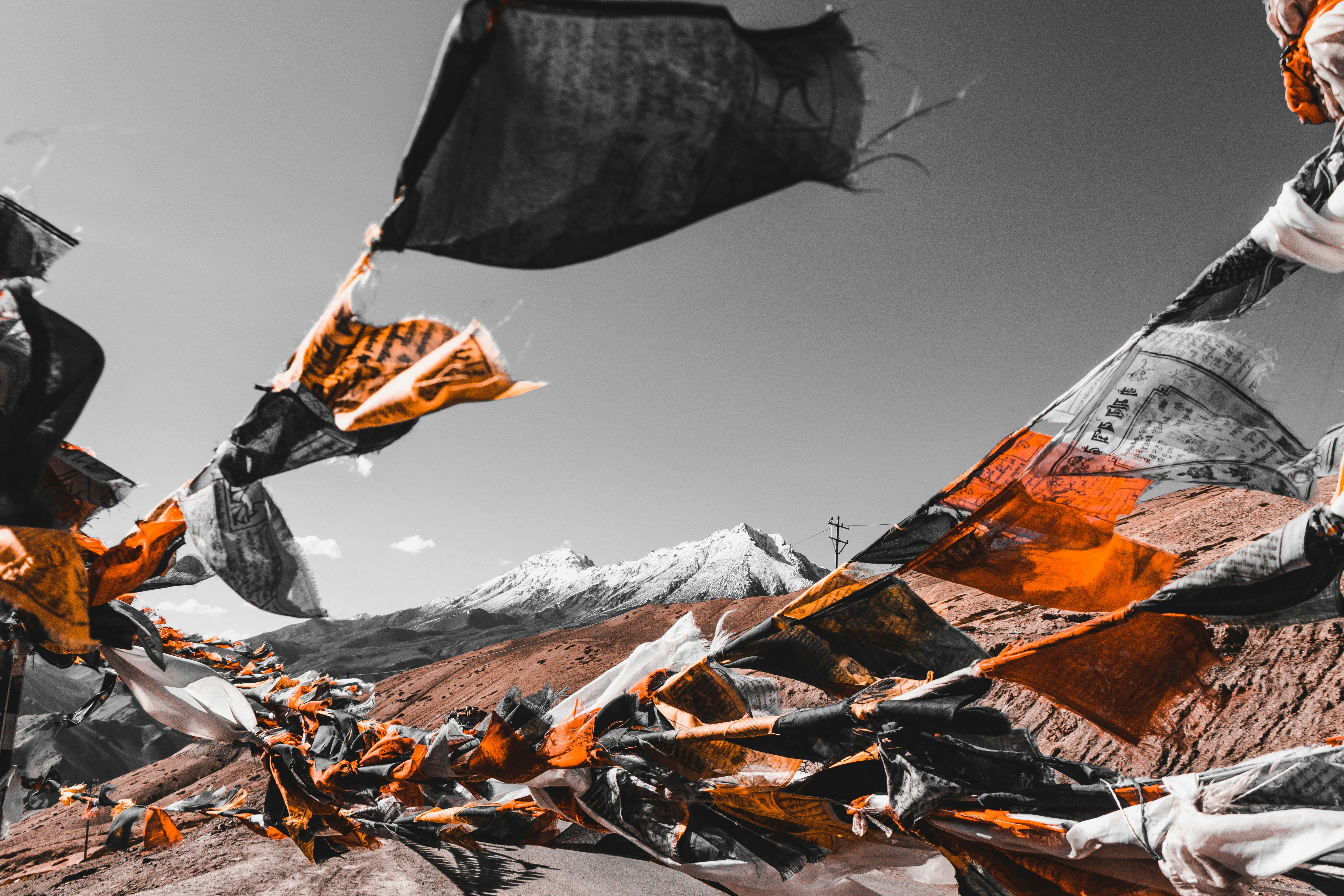 Ladakh Premium — Leh, Nubra & Pangong — photo 6